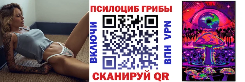 закладки  darknet клад  Галлюциногенные грибы прущие грибы  Поворино 